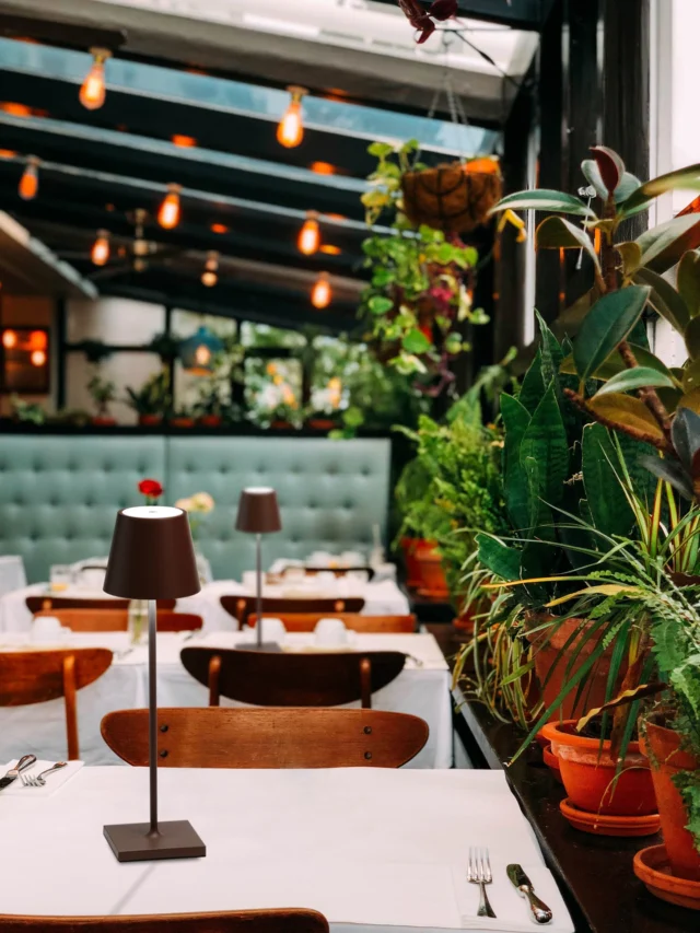 No outlets. No cords. No excuses for bad lighting. 😌
@Zafferanoamerica lamps keep the glow going all night long.
💡 Let’s light your space.