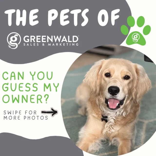 Welcome to Pets of Greenwald Sales & Marketing! 
Who’s behind the paws? 🐾 This week’s mystery pet has entered the chat…

Now it’s your turn—who on the team does this pup belong to? 👀
Drop your guess below—and swipe to the end to see if you’re right 👇