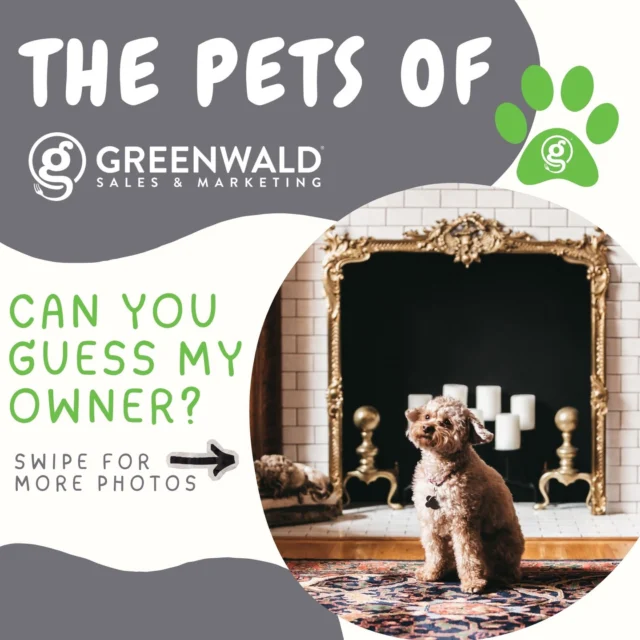 Who’s behind the paws? 🐾
We’re back with another pup… 🐶
This one might be dropping a few hints in the photos 😉
(And might just be a bit of a local celebrity…) 👀
Think you’ve got it figured out?
Drop your guess below—and swipe to the end to see if you’re right 👇