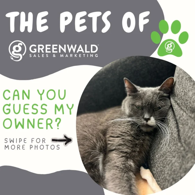 Who’s behind the whiskers? 🐾 😺
Take a guess below—who on the Greenwald team is the owner of this one.
Cat got your tongue, or do you know exactly who this kitty belongs to? 👅
Swipe to the end to see if you’re right 👇