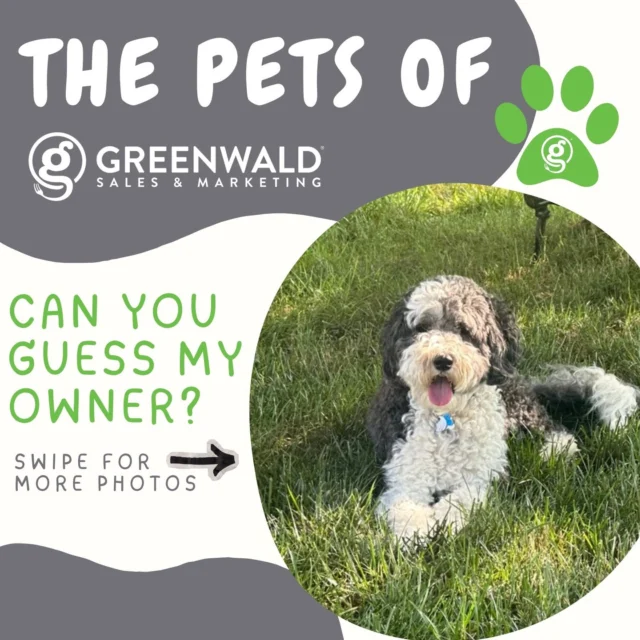 Who’s behind the paws? 🐾
This pup is bringing the fluff 🐶
Big, fluffy, and impossible to ignore… but does it give away the owner? 👀
Who do you think this belongs to?
Drop your guess below—and swipe to the end to see if you’re right 👇