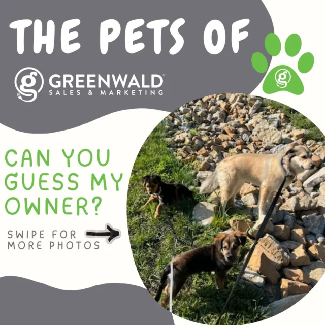 Who’s behind the paws? 🐾
We’ve got a three-for-one special this week… 🐶🐶🐶
That’s right—three pups, one owner 👀
Safe to say someone on our team is a serious animal lover…
Think you can crack it?
Drop your guess below—and swipe to the end to see if you’re right 👇