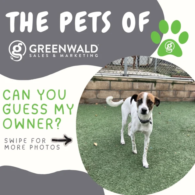 Who’s behind the paws? 🐾 Another pup has entered the chat… 🐶
At this point, we’re starting to think the team might secretly run a petting zoo 👀

Think you know who this one belongs to?
Drop your guess below—and swipe to the end to see if you’re right 👇